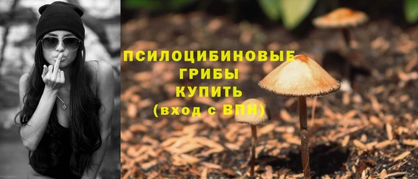 соль ск Горно-Алтайск