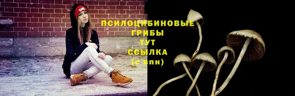 соль ск Горно-Алтайск