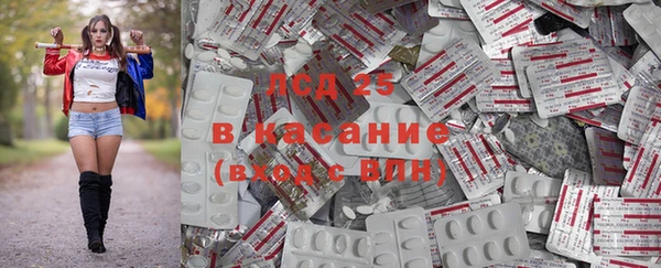соль ск Горно-Алтайск