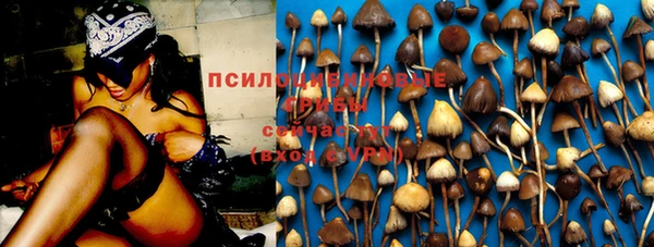 бошки Горняк