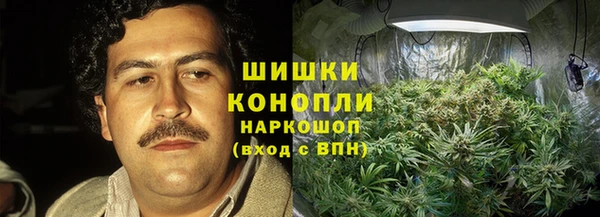 бошки Горняк