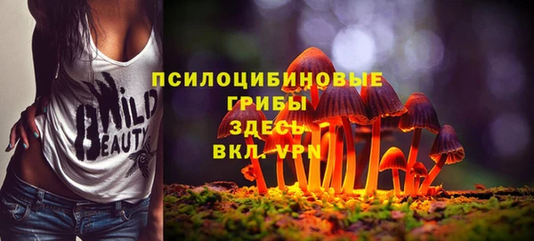первитин Горнозаводск