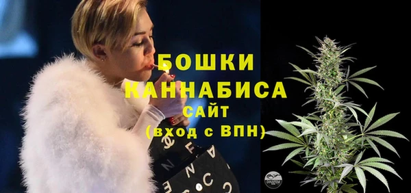 первитин Горнозаводск