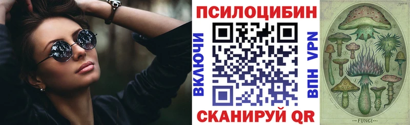 omg сайт  Дивногорск  Псилоцибиновые грибы Magic Shrooms 